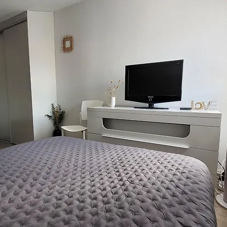 Maison Renovee Avec Piscine, Tennis Et Terrasse - 4 Personnes - La Palmyre - Fr-1-705-73 Hotel 3*